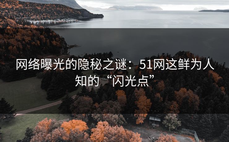 网络曝光的隐秘之谜：51网这鲜为人知的“闪光点”